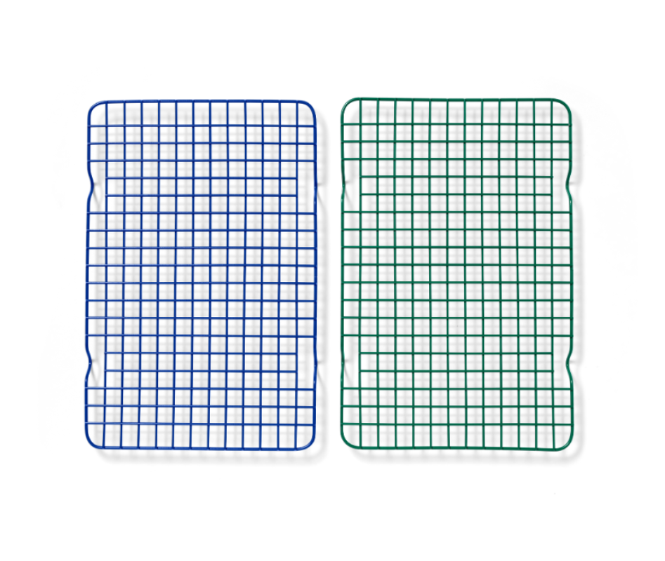 BlueberryandBroccoli_1d2408b8-451c-4572-aca3-64485625485b.png