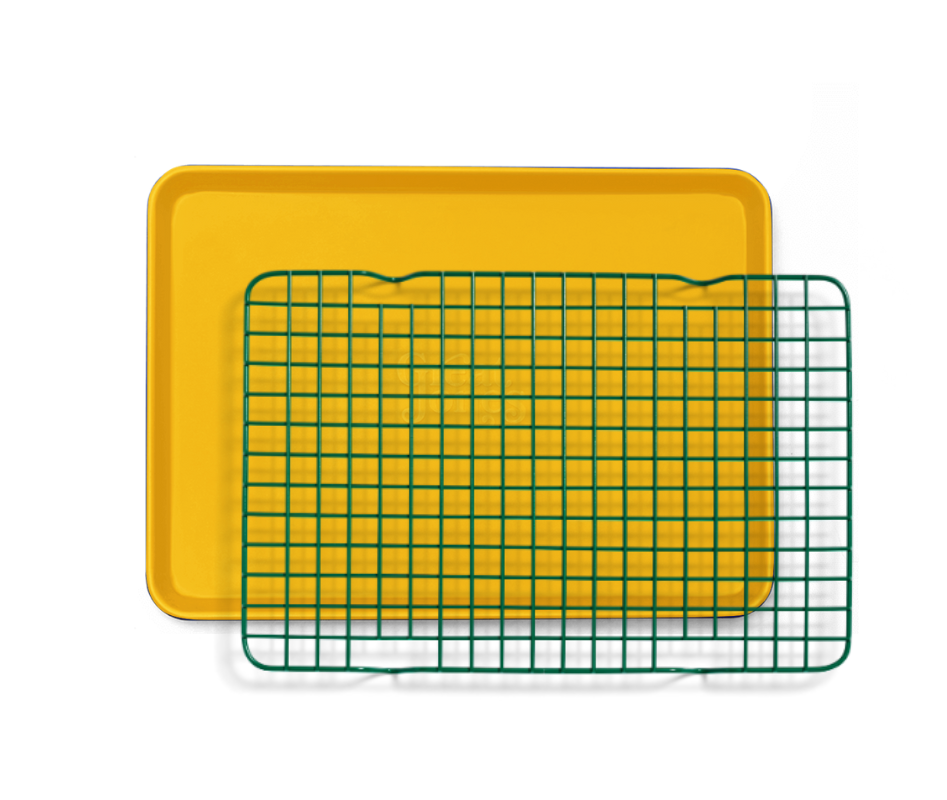 MustardandBroccoli_539d06d0-ea37-4078-9a33-4419ee4808e5.png